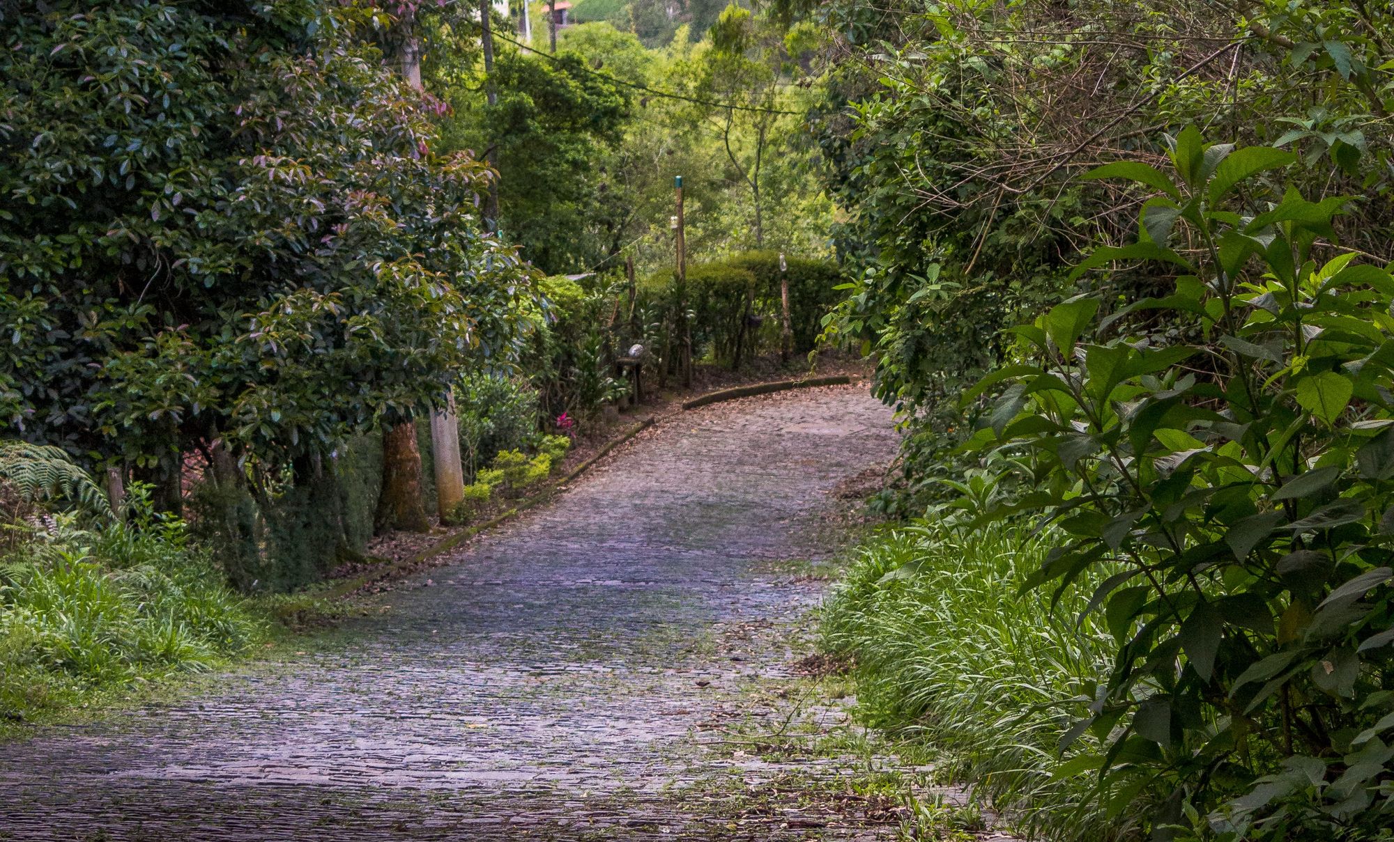 bairro Cascatinha em Nova Friburgo