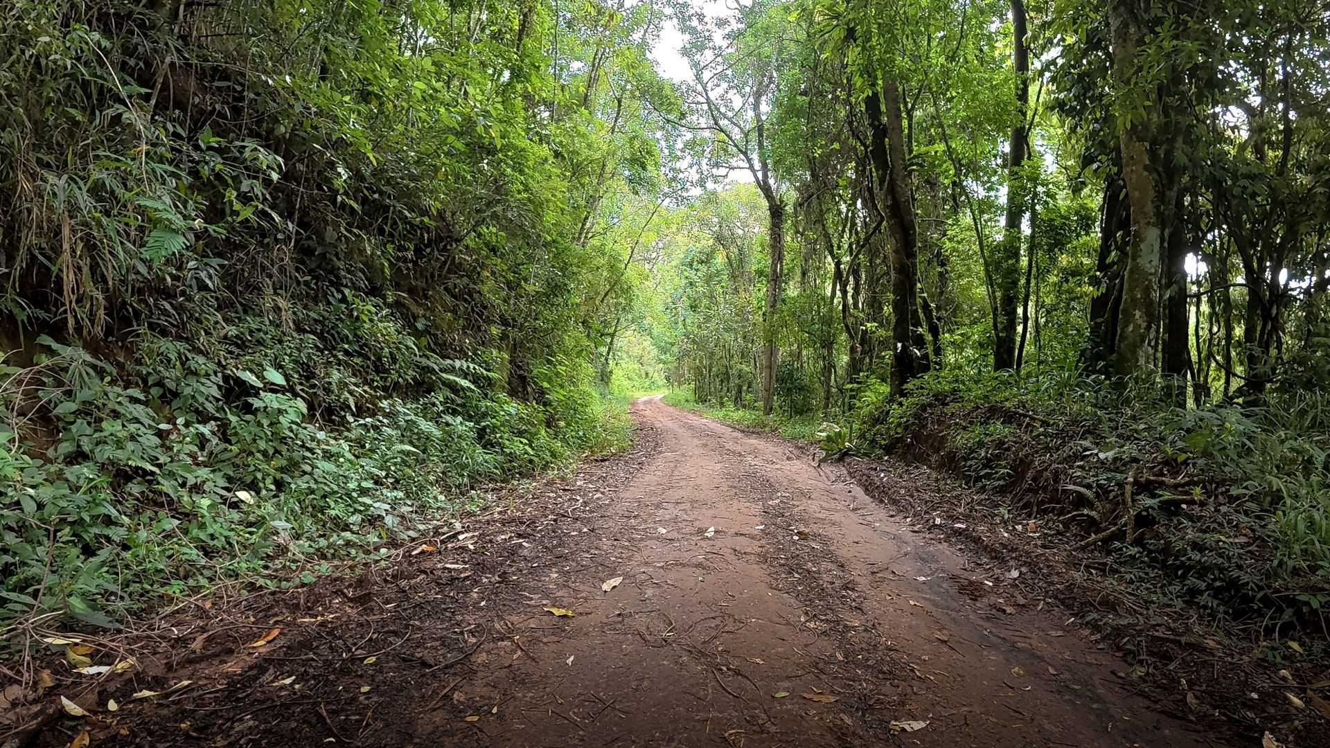 um dos trechos da estrada 